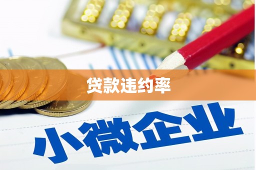 贵阳贷款违约率
