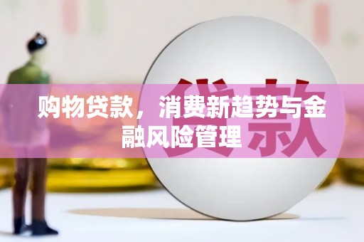 环江购物贷款，消费新趋势与金融风险管理