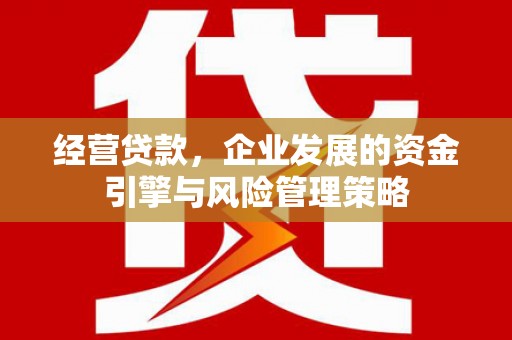 广陵经营贷款，企业发展的资金引擎与风险管理策略