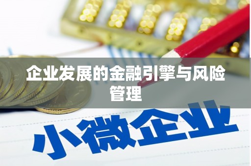 民丰企业发展的金融引擎与风险管理