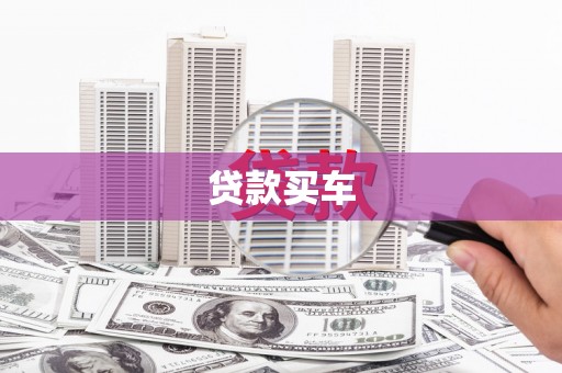 杂多贷款买车