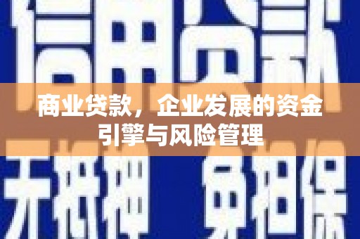 琼中商业贷款，企业发展的资金引擎与风险管理