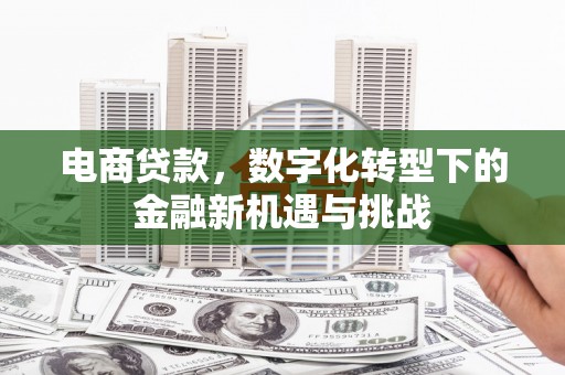 六甲电商贷款，数字化转型下的金融新机遇与挑战