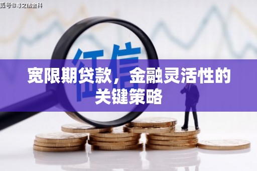 海陵宽限期贷款，金融灵活性的关键策略