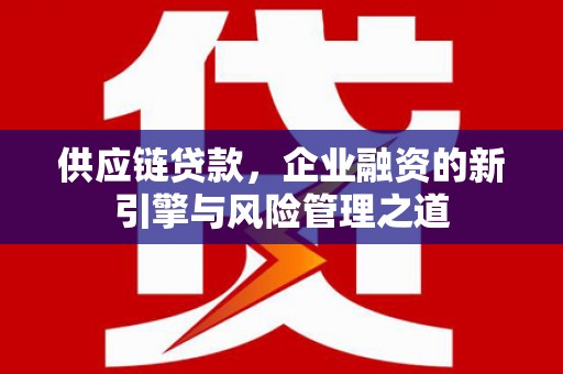阜康供应链贷款，企业融资的新引擎与风险管理之道