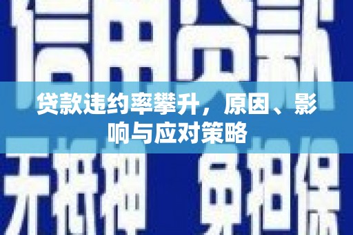 兴山贷款违约率攀升，原因、影响与应对策略