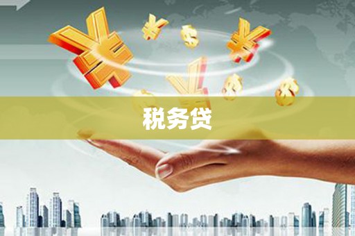 日土税务贷