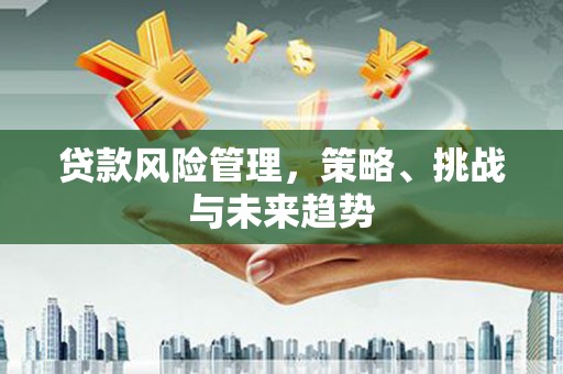 顺河贷款风险管理，策略、挑战与未来趋势