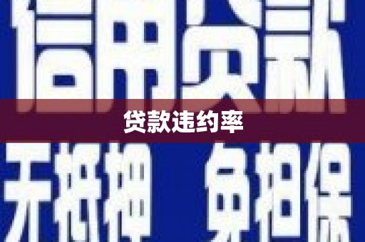 静宁贷款违约率