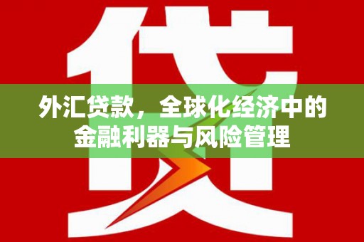 定陶外汇贷款，全球化经济中的金融利器与风险管理
