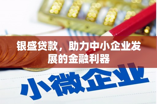 善化银盛贷款，助力中小企业发展的金融利器