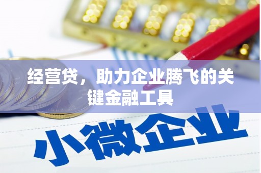 高坪经营贷，助力企业腾飞的关键金融工具