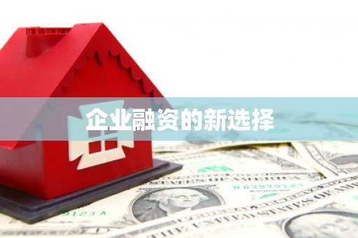 赵县企业融资的新选择