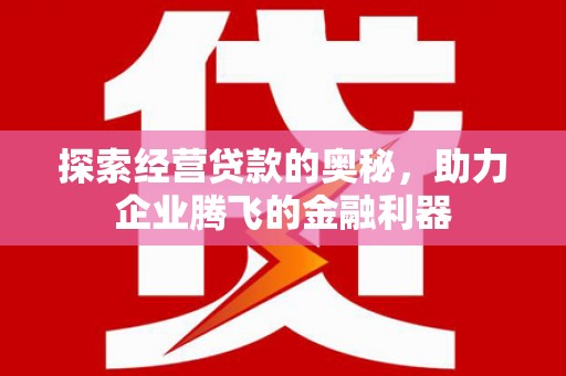 囊谦探索经营贷款的奥秘，助力企业腾飞的金融利器