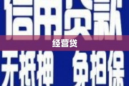 容县经营贷