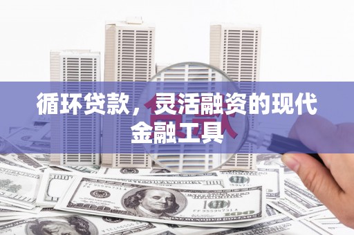 荔浦循环贷款，灵活融资的现代金融工具