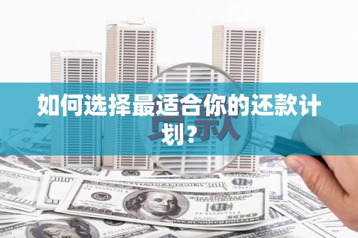 瑞芳如何选择最适合你的还款计划？