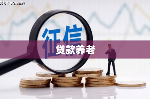 德钦贷款养老