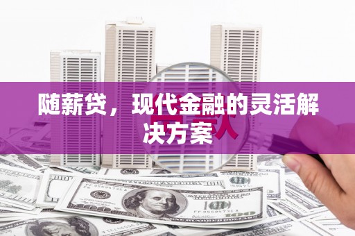 偃师随薪贷，现代金融的灵活解决方案