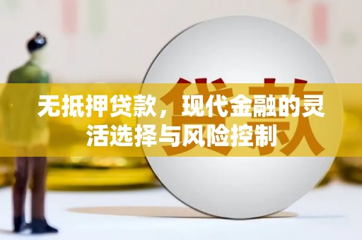南乐无抵押贷款，现代金融的灵活选择与风险控制