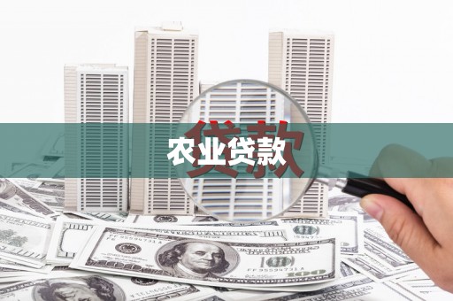 怀来农业贷款