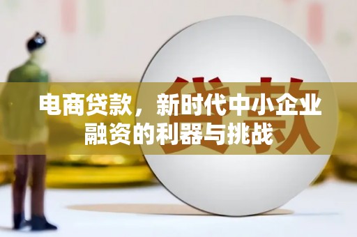 镇远电商贷款，新时代中小企业融资的利器与挑战