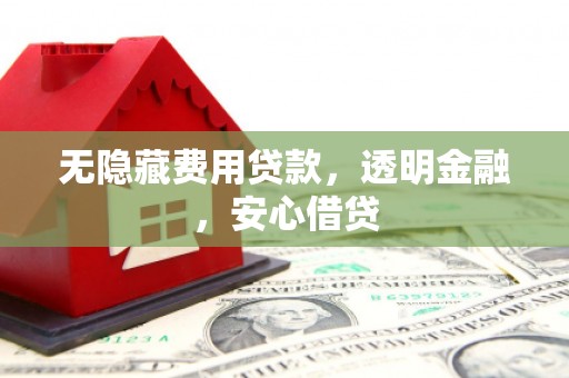 港南无隐藏费用贷款，透明金融，安心借贷
