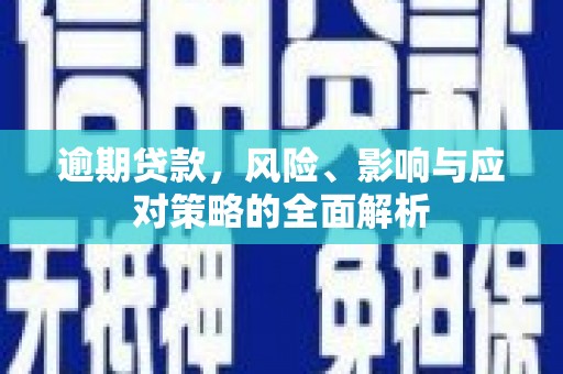 邵东逾期贷款，风险、影响与应对策略的全面解析