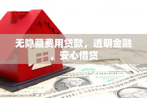 大足无隐藏费用贷款，透明金融，安心借贷