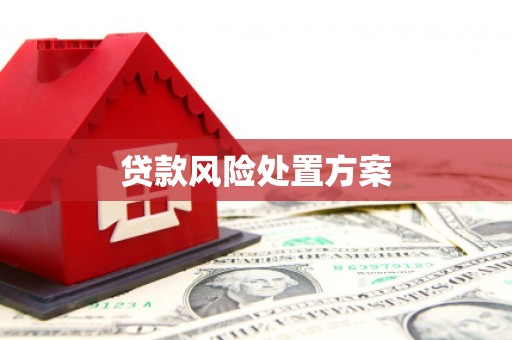 宜宾贷款风险处置方案