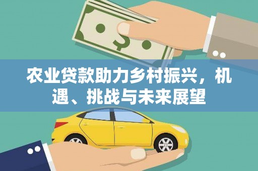 九龙城农业贷款助力乡村振兴，机遇、挑战与未来展望