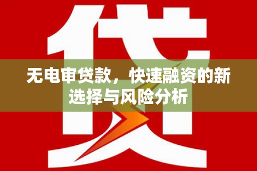 烟台无电审贷款，快速融资的新选择与风险分析