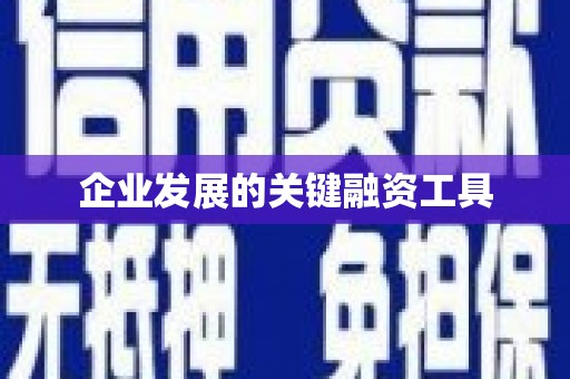 冬山企业发展的关键融资工具
