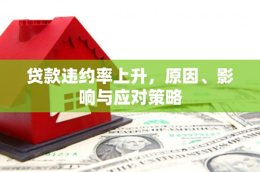 赤坎贷款违约率上升，原因、影响与应对策略