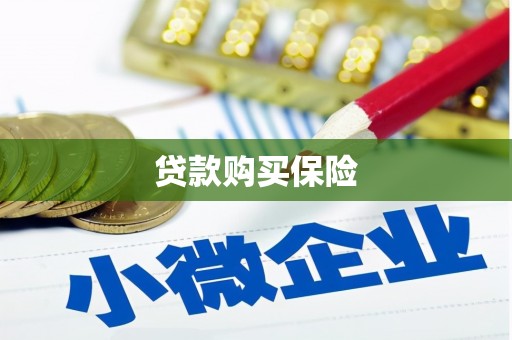 达日贷款购买保险