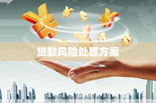 嘉黎贷款风险处置方案