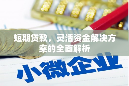 唐县短期贷款，灵活资金解决方案的全面解析