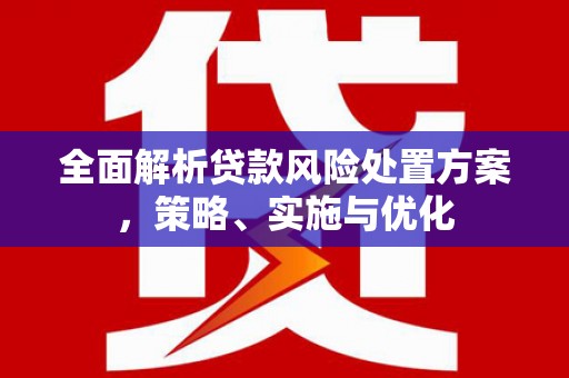 宁夏全面解析贷款风险处置方案，策略、实施与优化