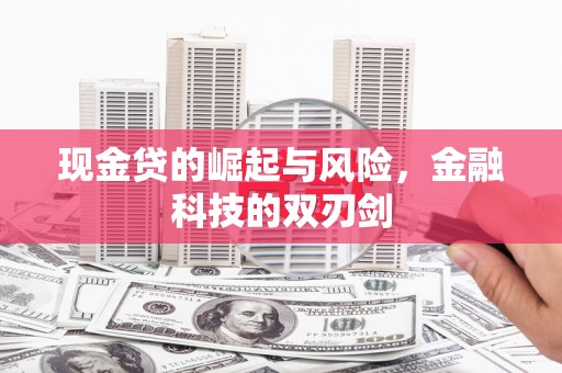 舟山新区现金贷的崛起与风险，金融科技的双刃剑
