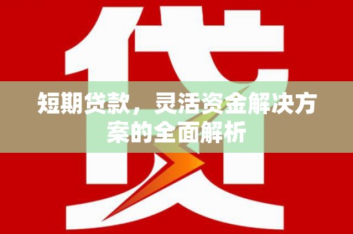西岗短期贷款，灵活资金解决方案的全面解析
