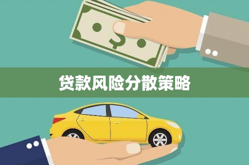 中方贷款风险分散策略