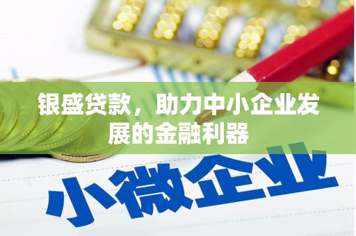 洋县银盛贷款，助力中小企业发展的金融利器