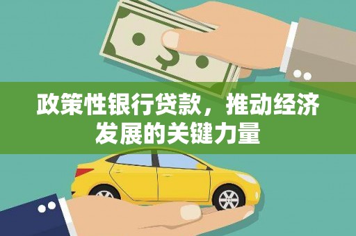 任城政策性银行贷款，推动经济发展的关键力量