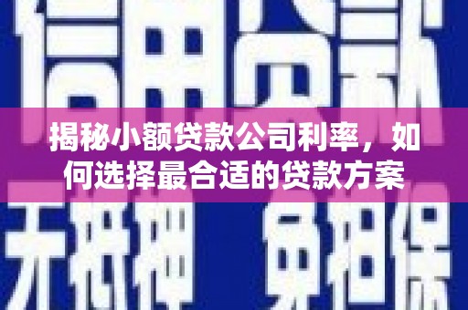 龙崎揭秘小额贷款公司利率，如何选择最合适的贷款方案