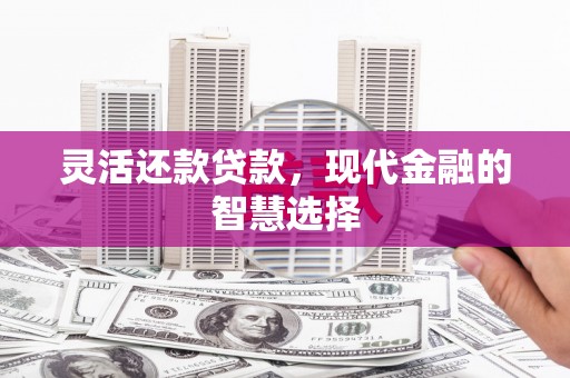 梓官灵活还款贷款，现代金融的智慧选择