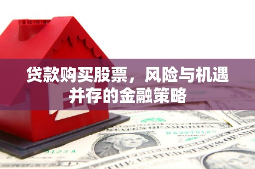 天镇贷款购买股票，风险与机遇并存的金融策略