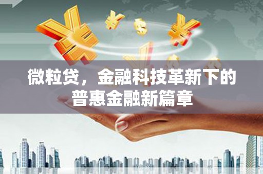 岱岳微粒贷，金融科技革新下的普惠金融新篇章