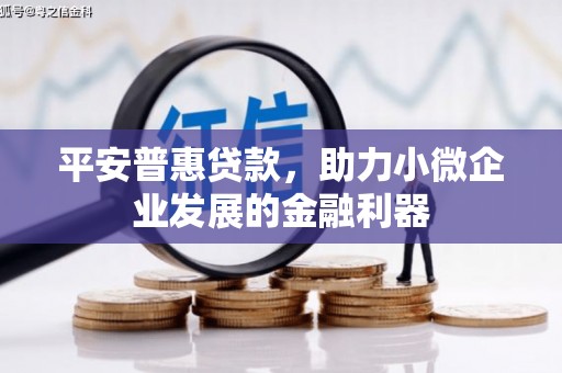 安康平安普惠贷款，助力小微企业发展的金融利器