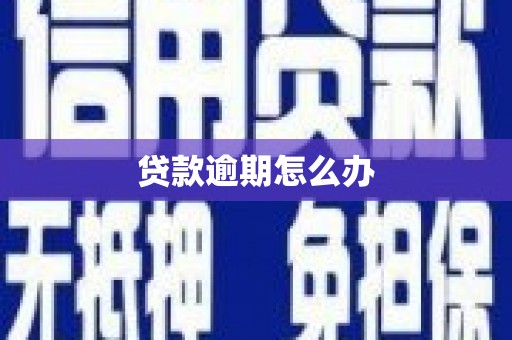 新北贷款逾期怎么办