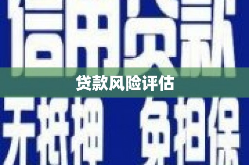 伊川贷款风险评估